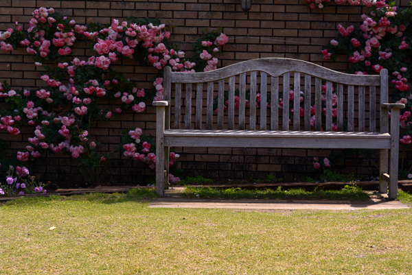 130512 america DSC_0041.jpg